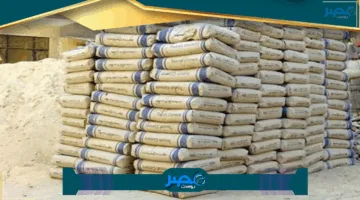 «تحركات اليوم» سعر الحديد في السوق المصري 13 يونيو 2025